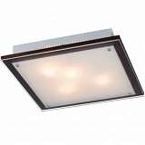 Потолочный светильник Sonex Ferola 4242V