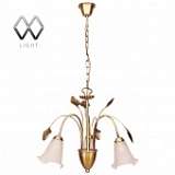 Подвесная люстра MW-Light Флора 10 256015603