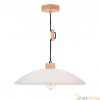 Подвесной светильник Spot Light Jona 1408131