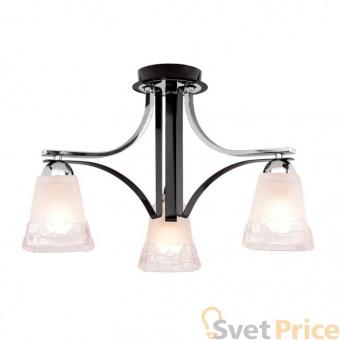 Потолочная люстра Silver Light Montenegro 703.59.3