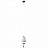 Подвесной светильник Odeon Light Leman 2570/1
