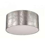 Потолочный светильник Odeon Light Femina 3280/3CA
