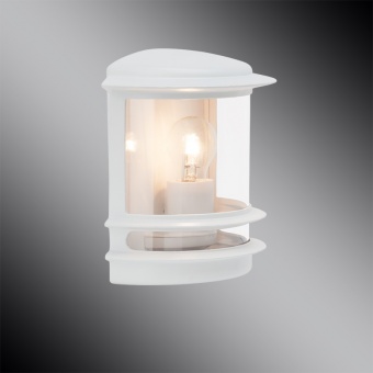 Уличный настенный светильник Brilliant Hollywood 47880/05