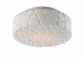 Потолочный светильник Arte Lamp Aqua A5325PL-2WH