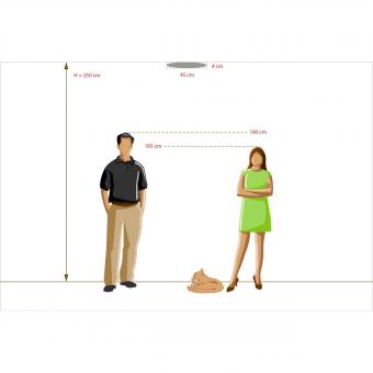 Потолочный светодиодный светильник с пультом ДУ RegenBogen Life Норден 660011401