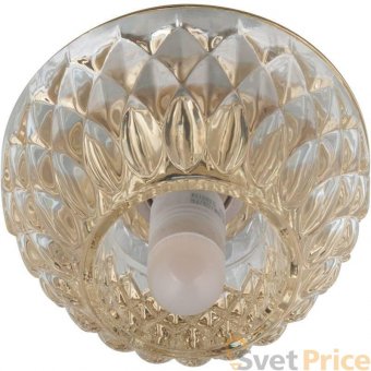 Встраиваемый светильник Fametto Fiore DLS-F116-1001