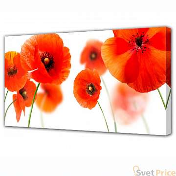 Холст Toplight Цветы 100х150х3см TL-H3018