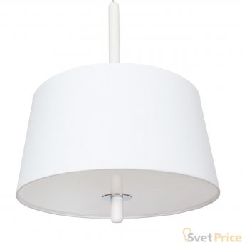 Подвесной светильник АртПром Stelo S1 10 01