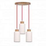 Подвесная люстра Spot Light Bosco 1716574