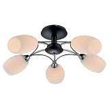 Потолочная люстра Lussole Lgo GRLSP-0153