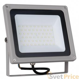 Прожектор светодиодный Elektrostandard 006 FL LED 50W 6500K 4690389101250
