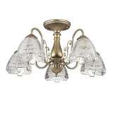 Потолочная люстра Lumion Jelis 3460/5C