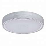 Потолочный светодиодный светильник MW-Light Ривз 674012001
