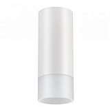 Потолочный светодиодный светильник Novotech Solo 357459