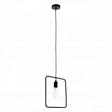 Подвесной светильник Spot Light Carsten 1652104