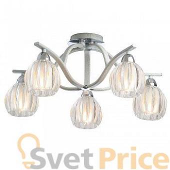 Люстра N-Light 409-05-73CWC