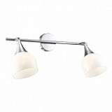 Спот Arte Lamp Trumpet A9556AP-2CC