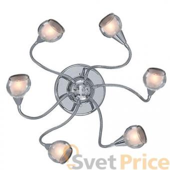 Потолочная люстра Ideal Lux Tender PL6 Trasparente