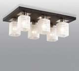 Потолочная люстра Odeon Light Campus 2615/6C