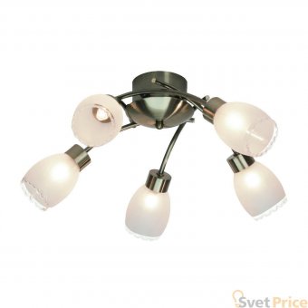 Потолочная люстра Brilliant Gerda G94305/31