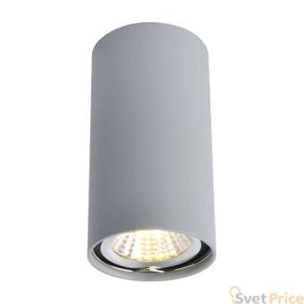 Потолочный светильник Arte Lamp A1516PL-1GY