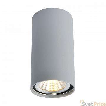Потолочный светильник Arte Lamp A1516PL-1GY