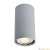Потолочный светильник Arte Lamp A1516PL-1GY
