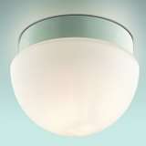 Потолочный светильник Odeon Light Minkar 2443/1B
