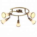 Спот Arte Lamp 81 A9231PL-5AB