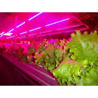 Мебельный светодиодный светильник Kreonix KCL-30-10W-IP40/CW 4873