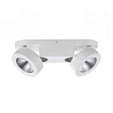 Светодиодный спот Odeon Light Laconis 3538/2WL