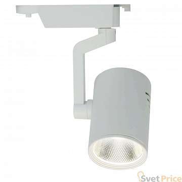 Трековый светодиодный светильник Arte Lamp Traccia A2311PL-1WH