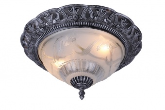 Потолочный светильник Arte Lamp Piatti A8001PL-2SB