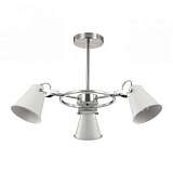 Потолочная люстра Lumion Arudlis 3591/3C