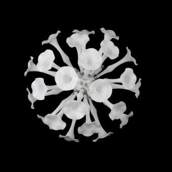 Бра Osgona Bardano 891656