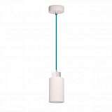 Подвесной светильник Spot Light Bosco 1713132