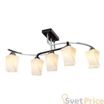 Потолочная люстра Silver Light Dessin 110.59.5