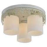 Потолочная люстра Lussole Lgo Promo GRLSP-0049