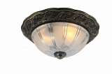 Потолочный светильник Arte Lamp Piatti A8003PL-2AB