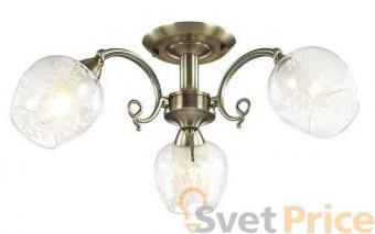 Потолочная люстра Lumion Velia 3107/3C
