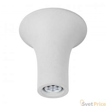 Потолочный светильник Arte Lamp A9461PL-1WH