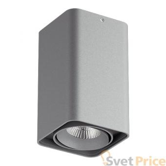 Потолочный светильник Lightstar Monocco 212539
