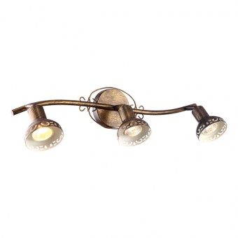 Спот Arte Lamp Focus A5219PL-3BR