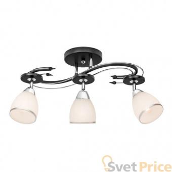 Спот Silver Light Austerity 245.59.3