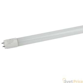 Лампа светодиодная ЭРА G13 10W 6500K матовая ECO LED T8-10W-865-G13-600mm