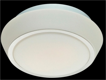 Потолочный светильник ST Luce Bagno SL496.502.03