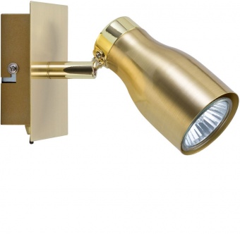 Спот Paulmann Tinka 66599