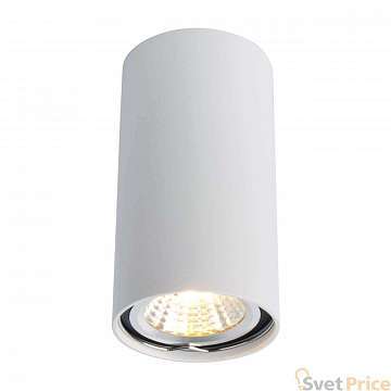 Потолочный светильник Arte Lamp A1516PL-1WH