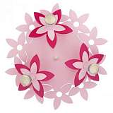 Потолочная люстра  Nowodvorski Flowers 6895