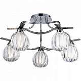 Люстра N-Light 406-05-13